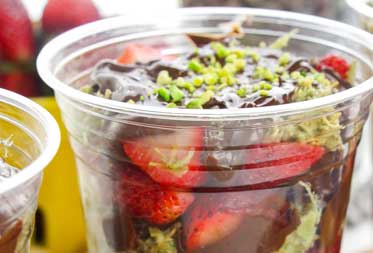 Berried in Chocolate