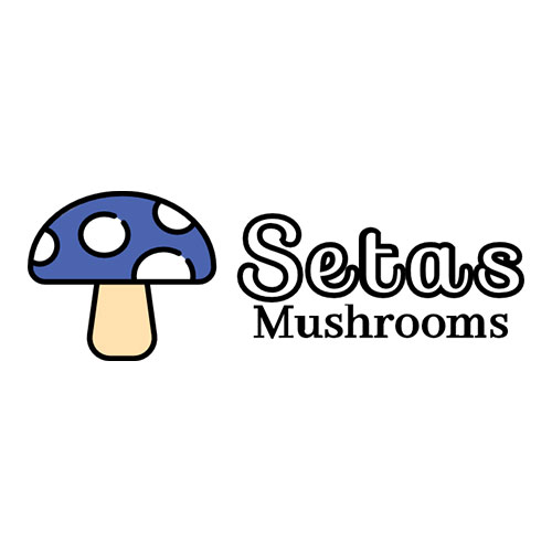 Setas Mushrooms