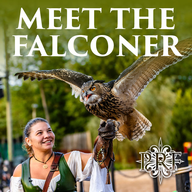 Meet the Falconer Icon