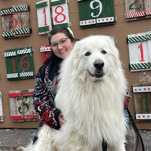 Dog Friendly Faire